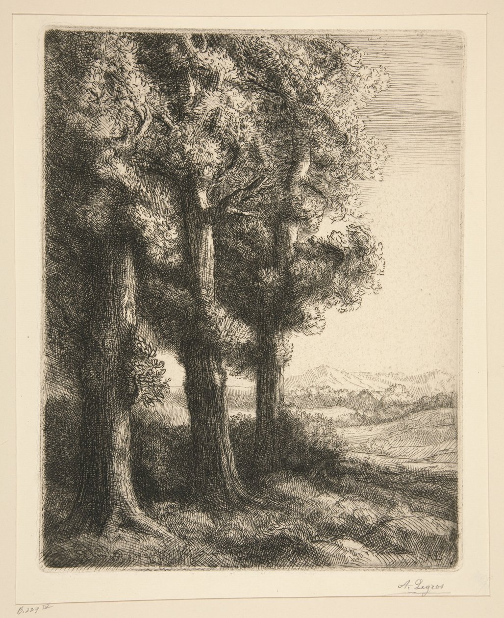 Et hjørne av en skog av Alphonse Legros