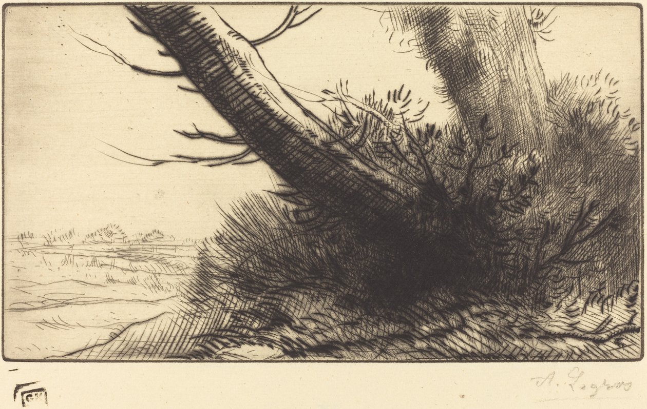 Hjørne av en sti av Alphonse Legros