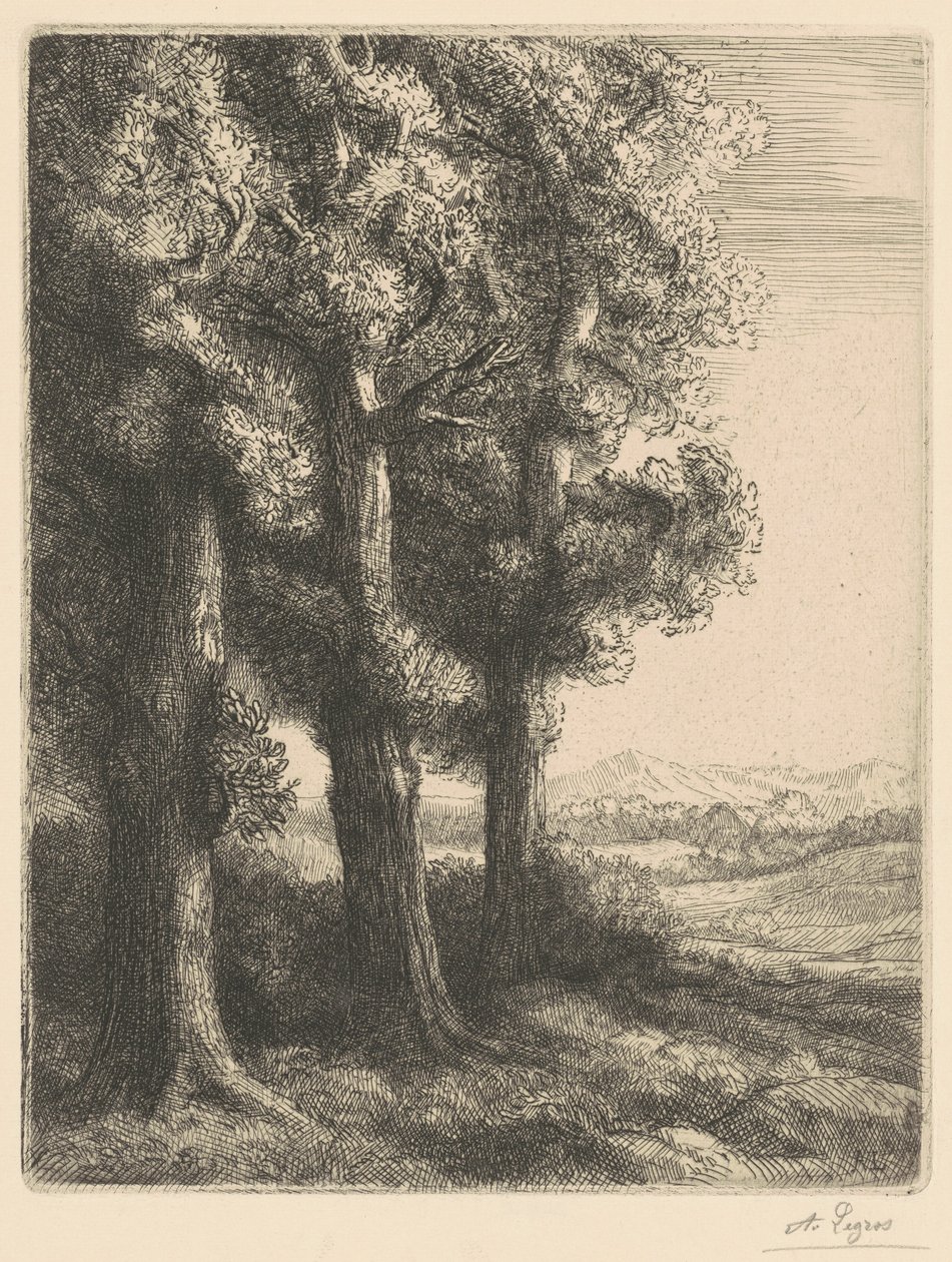 Corner of a Wood (Et hjørne av en skog) av Alphonse Legros