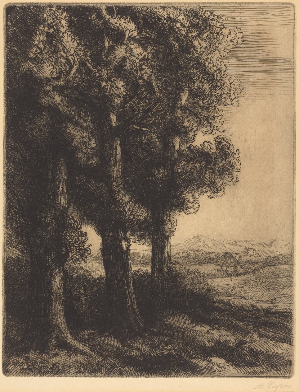 Et hjørne av en skog av Alphonse Legros