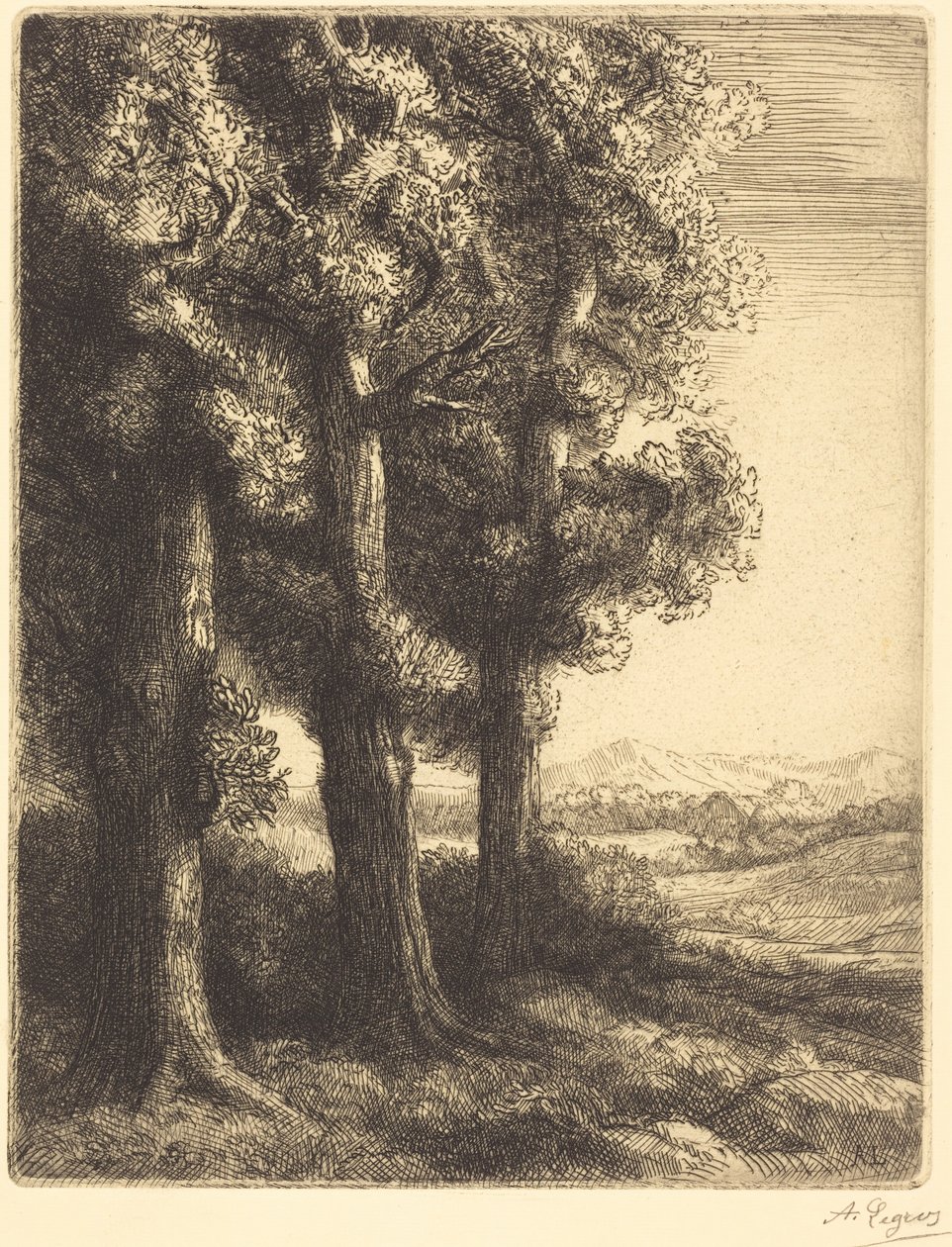 Et hjørne av en skog av Alphonse Legros