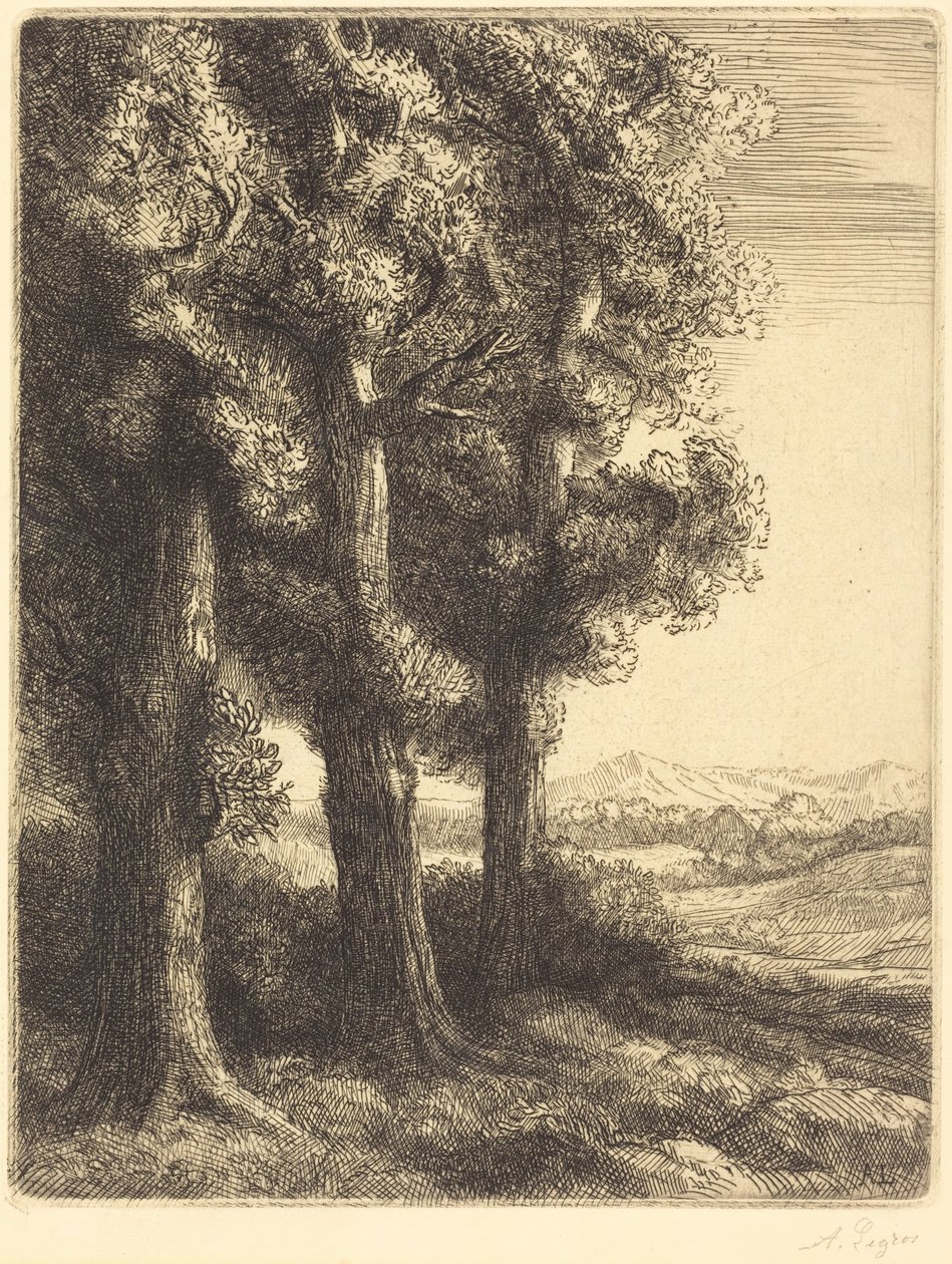 Et hjørne av en skog av Alphonse Legros