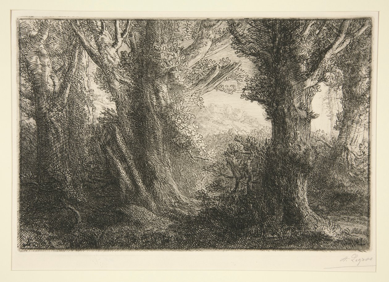 Dans la foret de Conteville (I Conteville-skogen) av Alphonse Legros