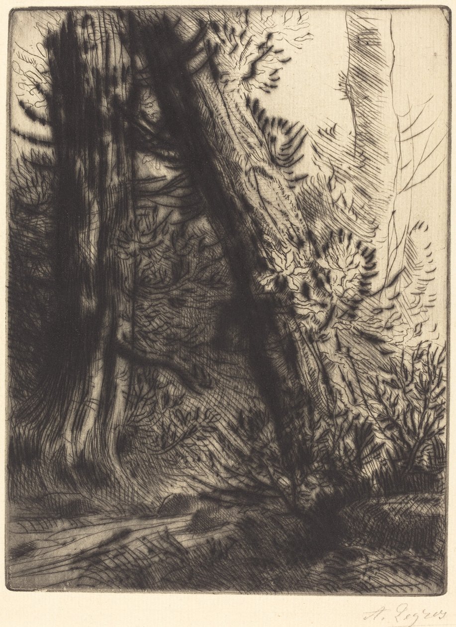 Edge of a Brook (Bord de ruisseau) av Alphonse Legros
