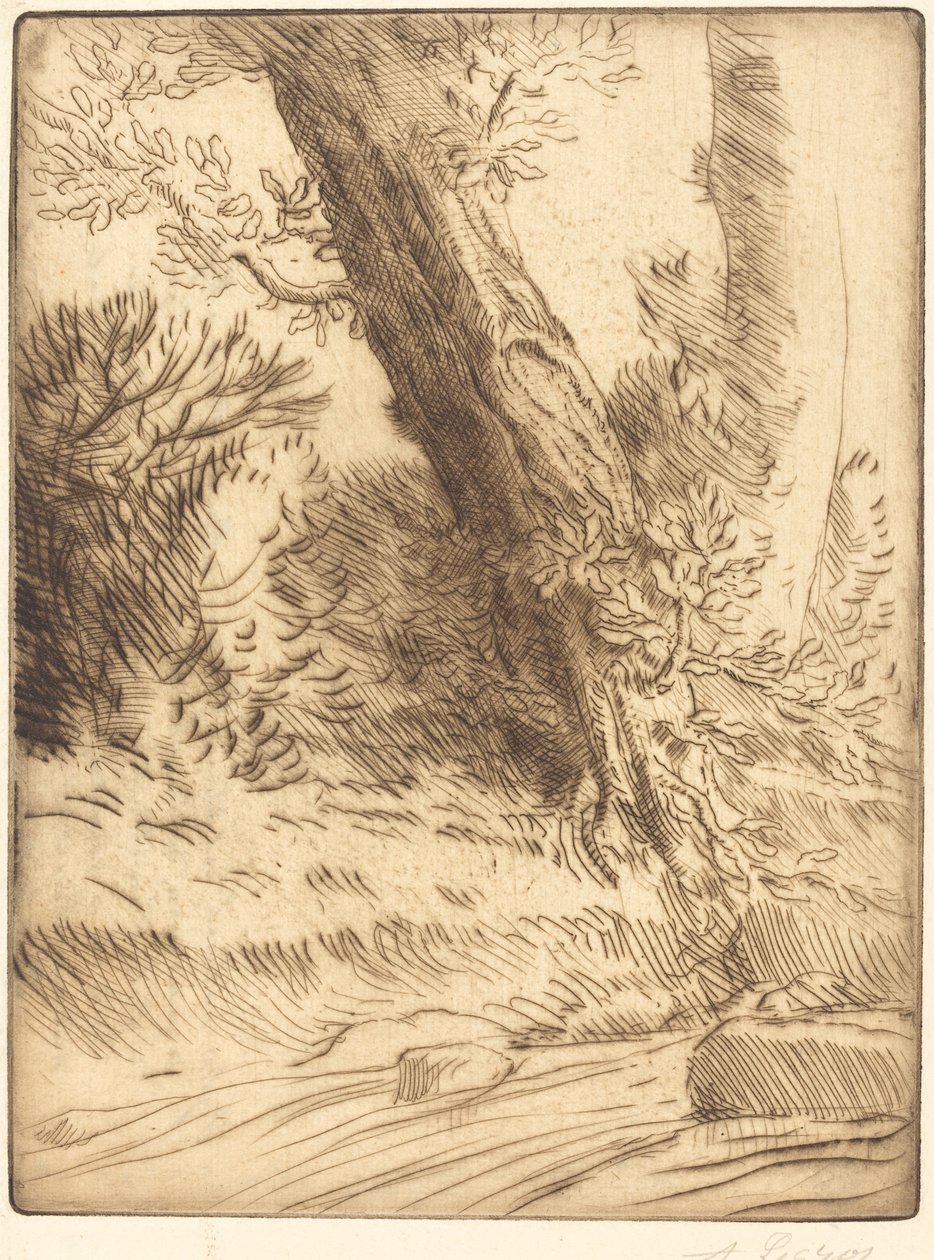 Kanten av en Brook Bord de ruisseau. av Alphonse Legros