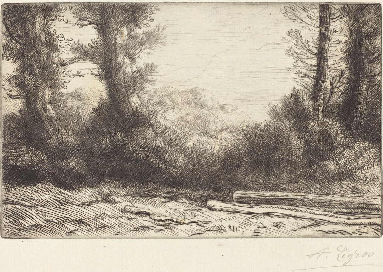 Edge of a Wood Lisiere de bois. av Alphonse Legros