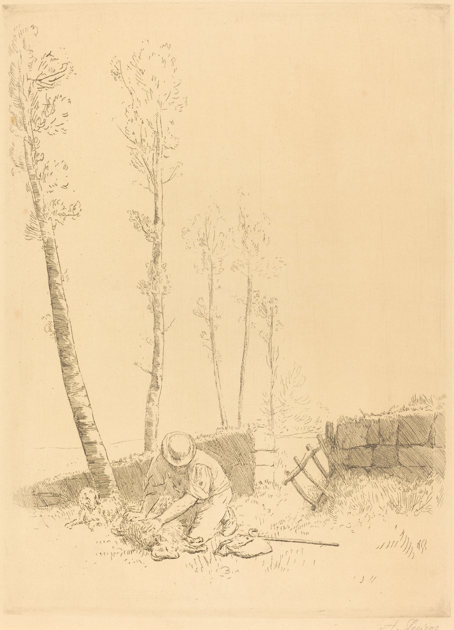 Finne sauen Le Mouton retrouve. av Alphonse Legros