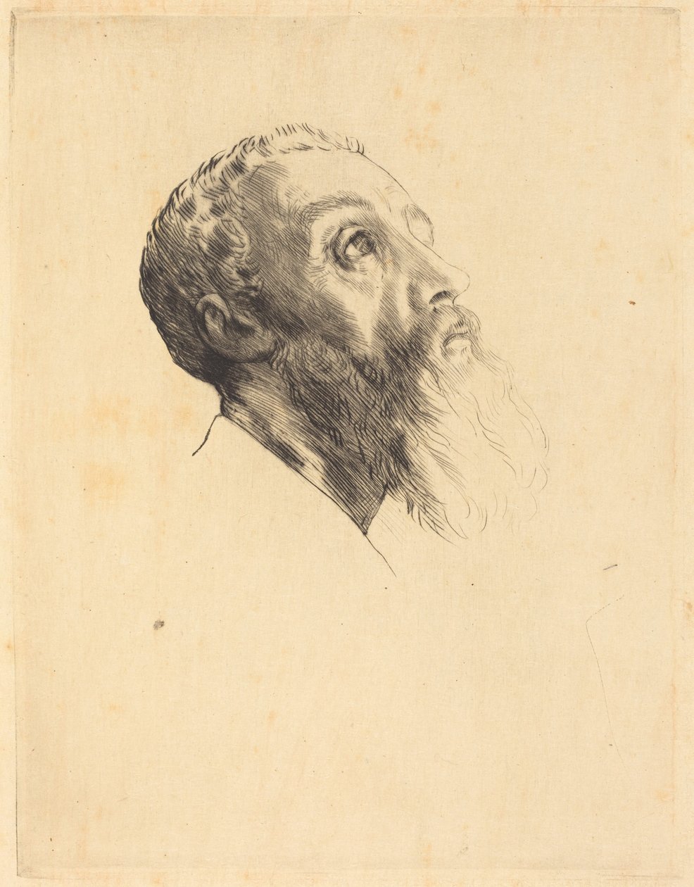 Hode av en modell av Alphonse Legros