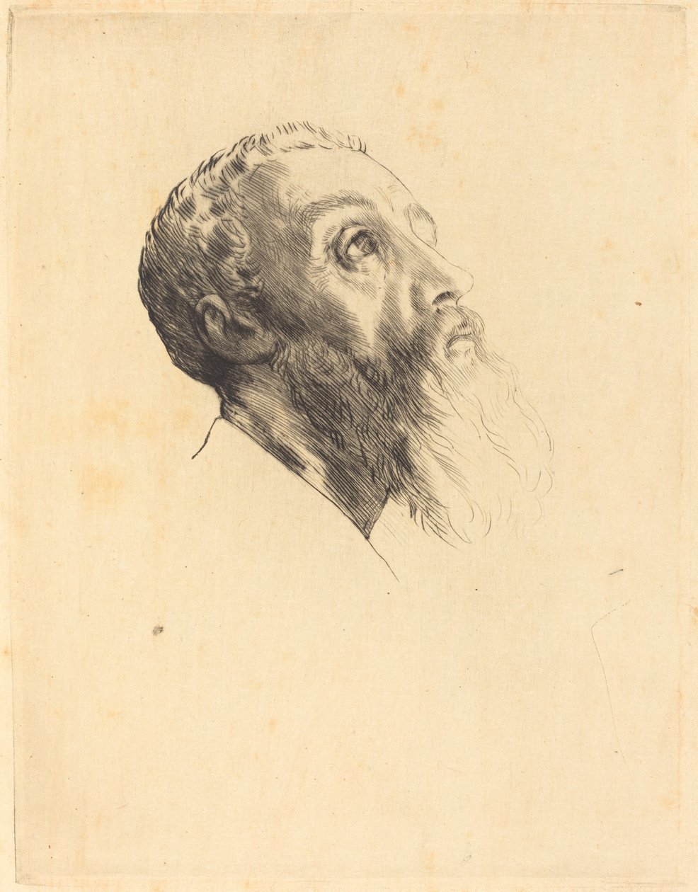 Head of a Model Heads of models. av Alphonse Legros