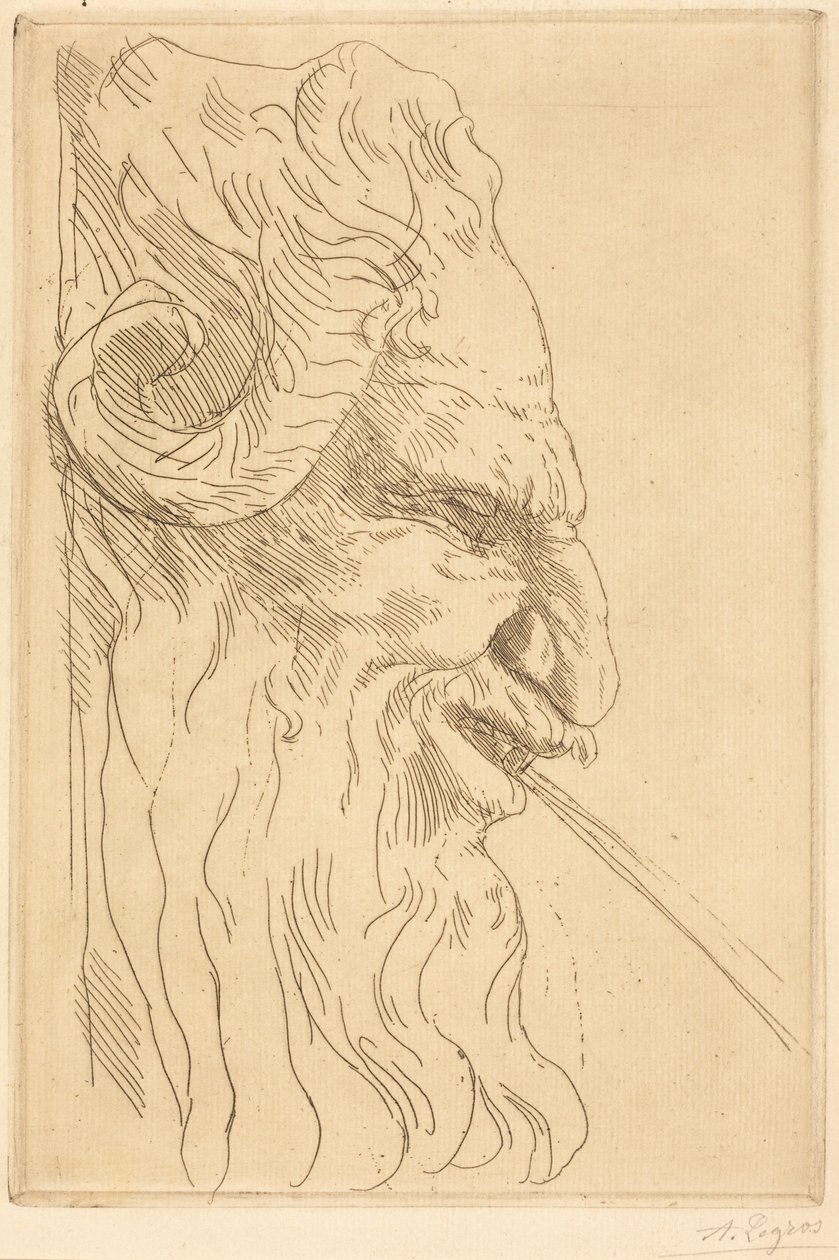 Hode av en satyr av Alphonse Legros