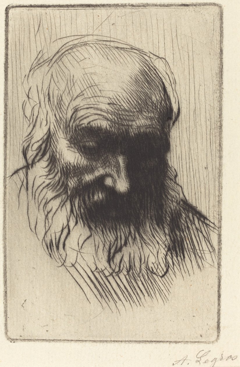 Hodet til en gammel mann (Etude de tete) av Alphonse Legros