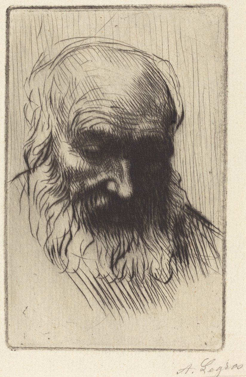 Hodet til en gammel mann (Etude de tete) av Alphonse Legros