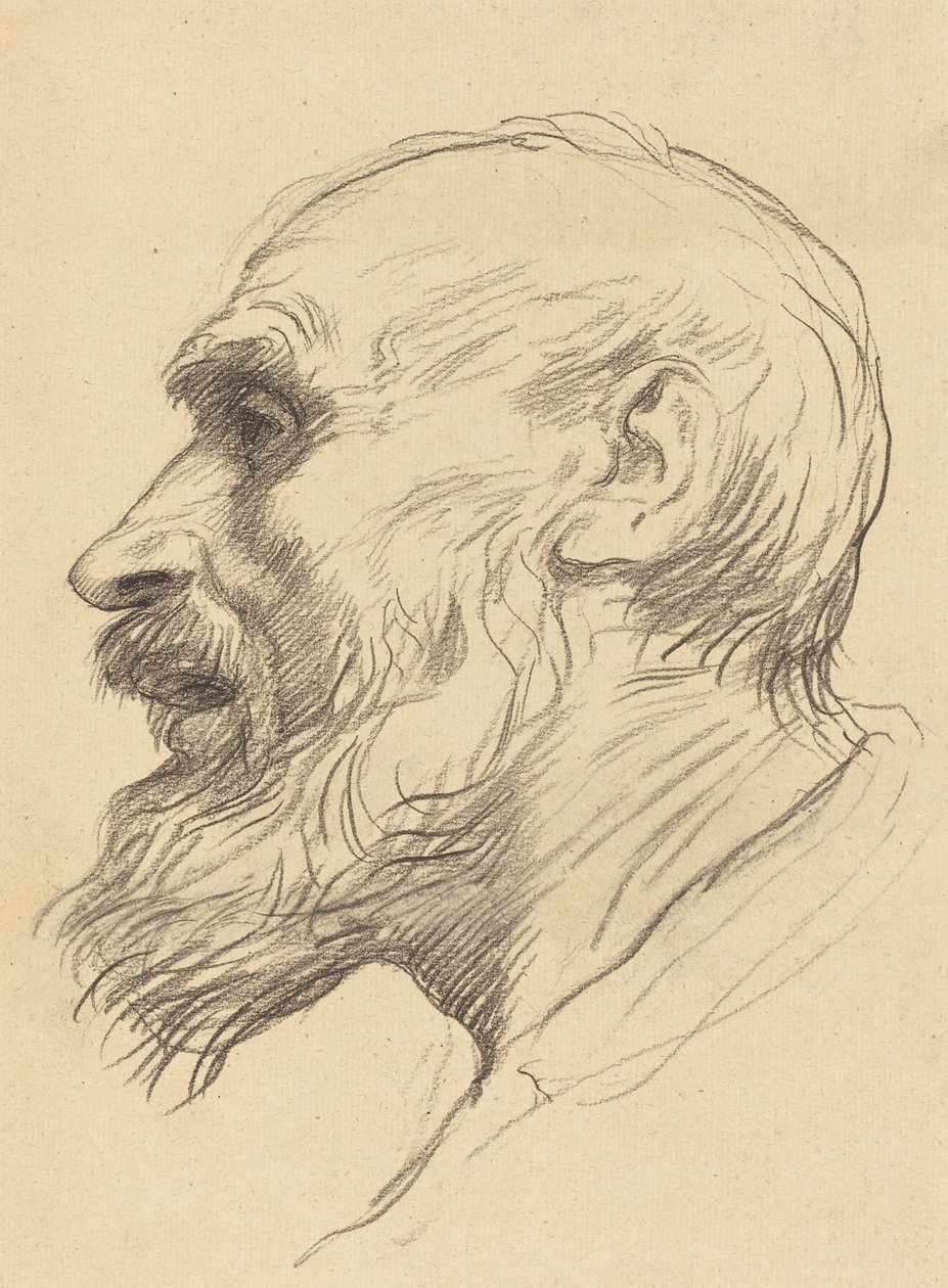 Leder av en gammel mann av Alphonse Legros
