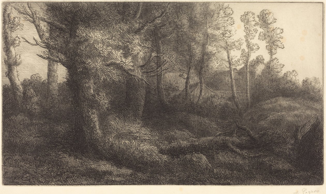 I skogen (Lisière de forêt) av Alphonse Legros