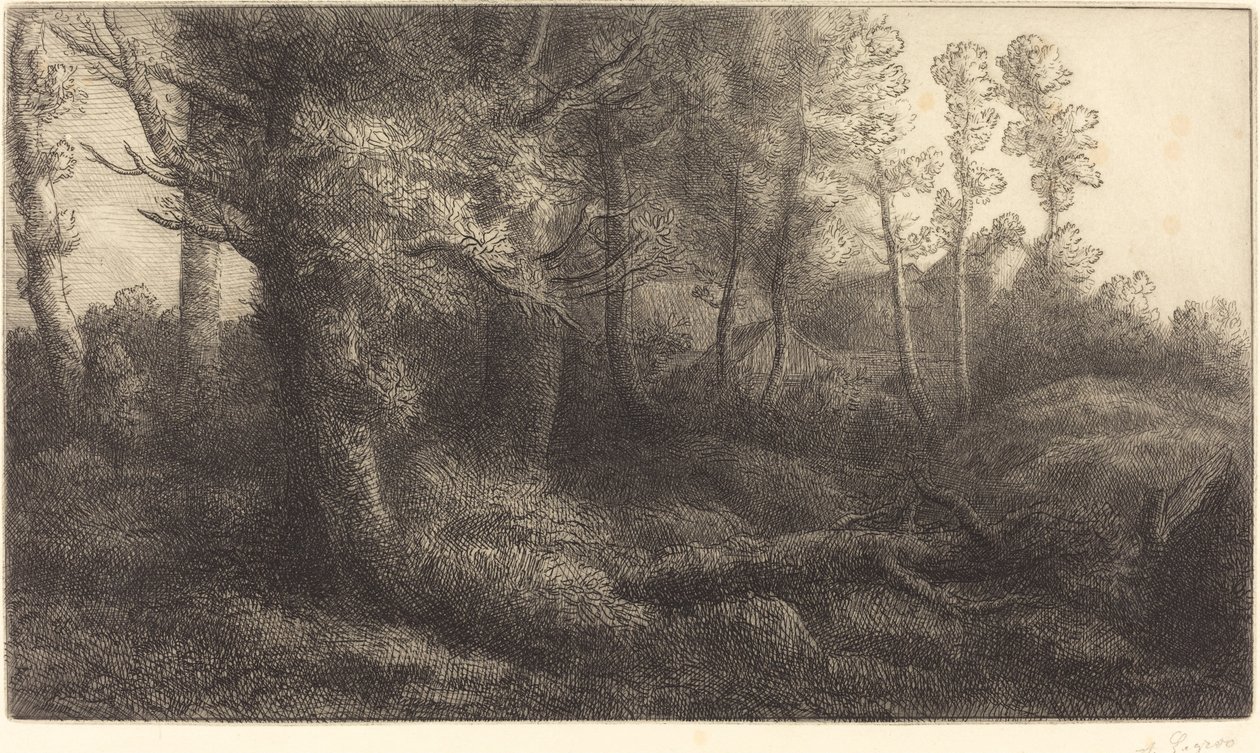 In the Forest Lisiere de foret.    1195169   no       norwegian Successfully Translated  Original: Virgin and Child Enthroned, with Saints Jerome and John the Baptist and a Carthusian Monk Tronende madonna met de heiligen Hieronymus en Johannes de Doper en av Alphonse Legros