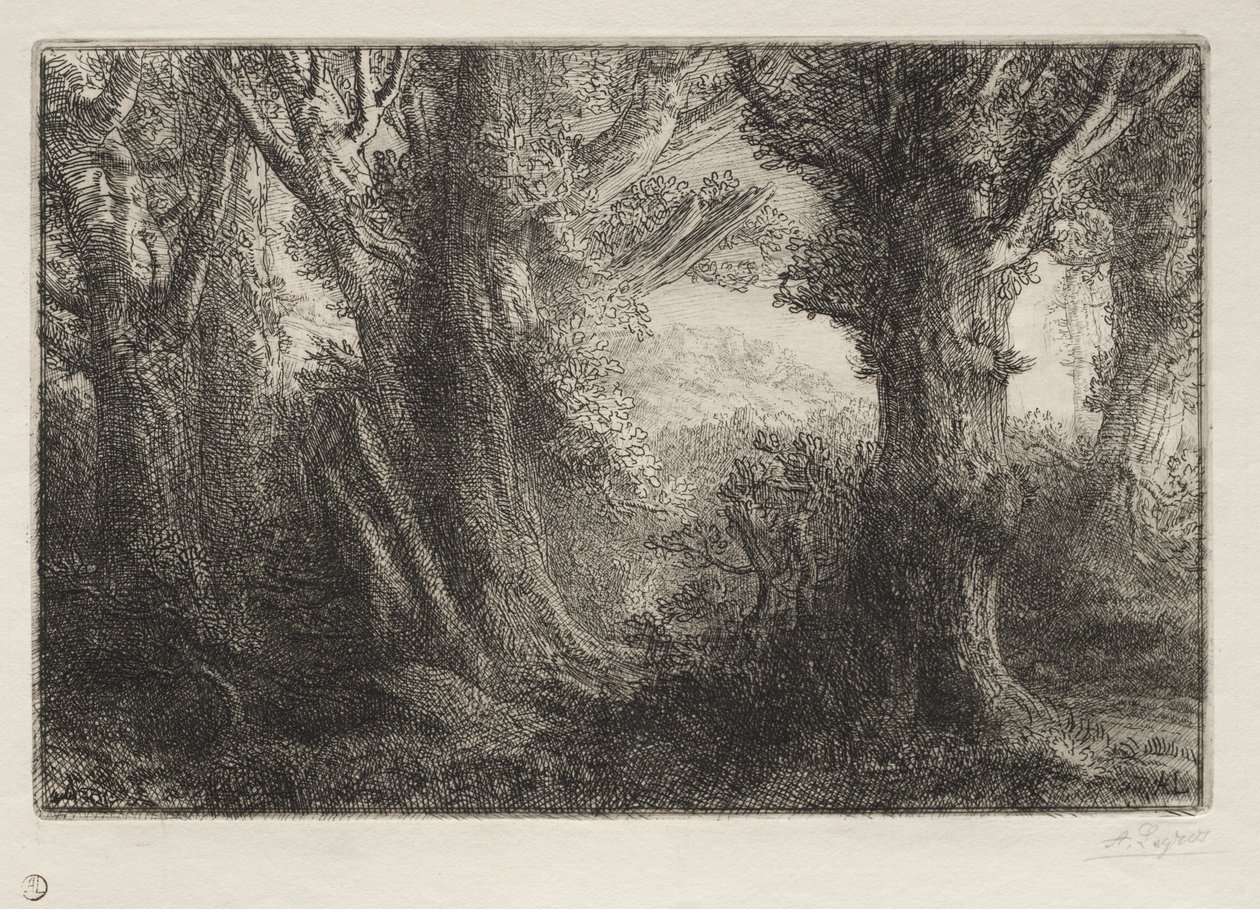 I skogen ved Conteville av Alphonse Legros