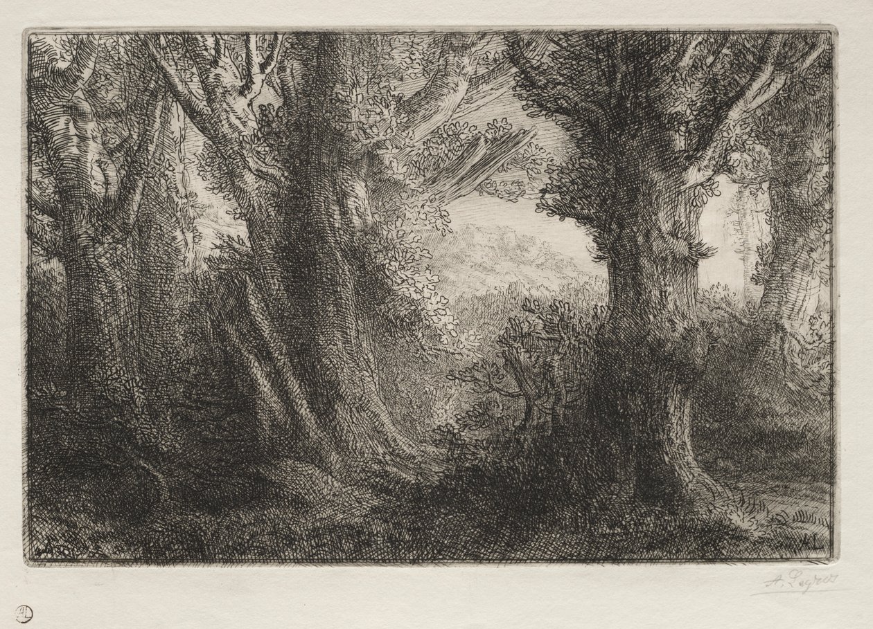 I skogen ved Conteville. av Alphonse Legros