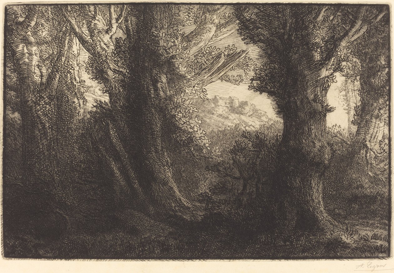 I Conteville-skogen (Dans la foret de Conteville) av Alphonse Legros