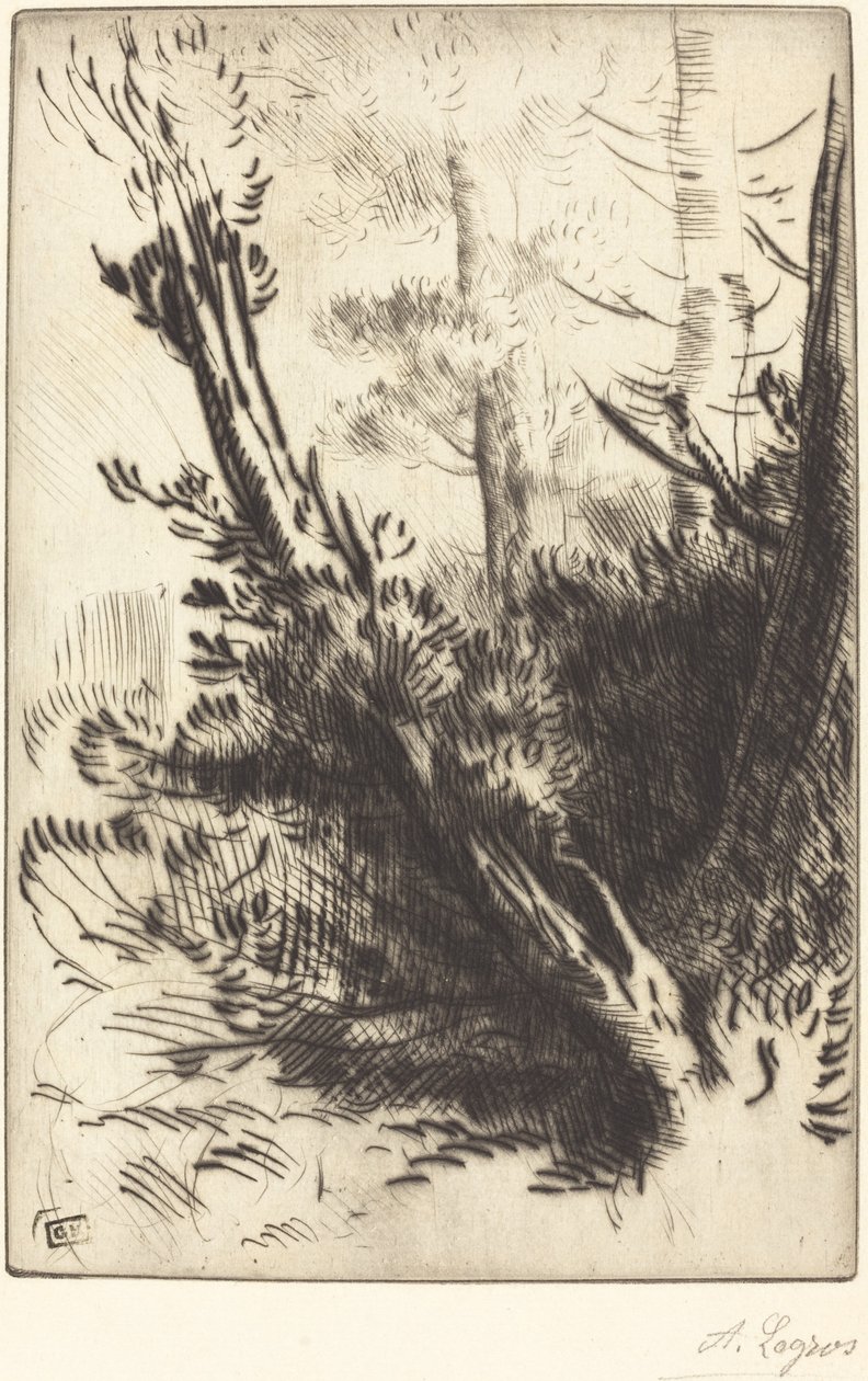 I skogen av Alphonse Legros