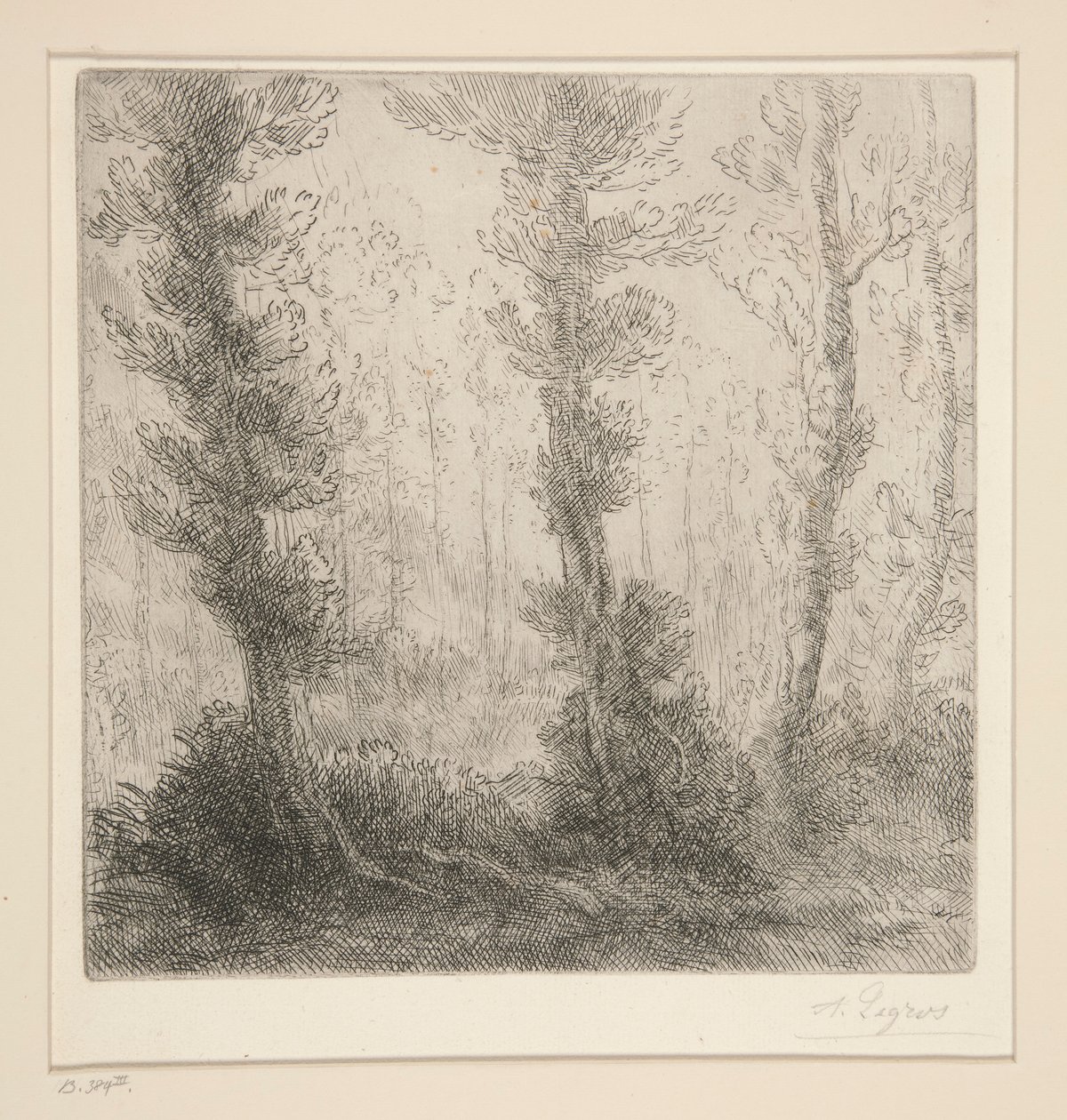 Den lille innsjøen av Alphonse Legros