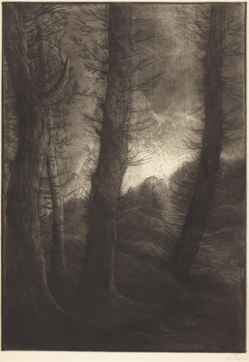 Store trær sett mot solen (De store trærne: Kveldsvirkning) av Alphonse Legros