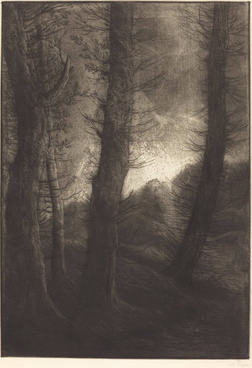 Large Trees Seen against the Sun Les grandes arbres: Effet du soir.    1186278   no       norwegian Successfully Translated  Original: Les enfants deguises Painting by William Artaud (1763-1823) 19th century Sun. 0,51x0,41 m Paris, Musee Cognacq Jay. Trans av Alphonse Legros