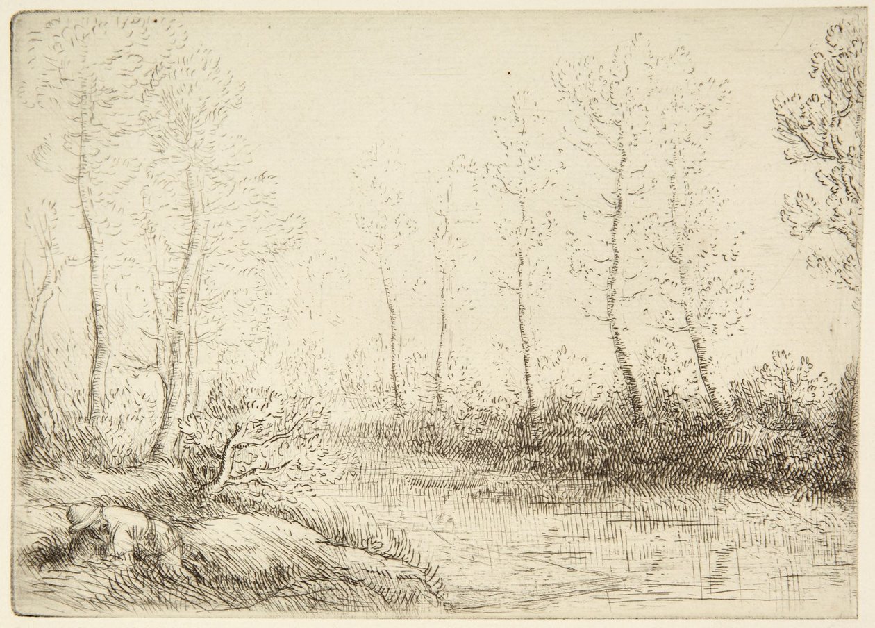 Bjørketrærne av Alphonse Legros