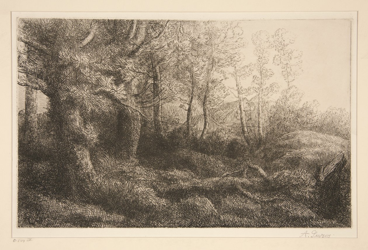 Skogkant av Alphonse Legros