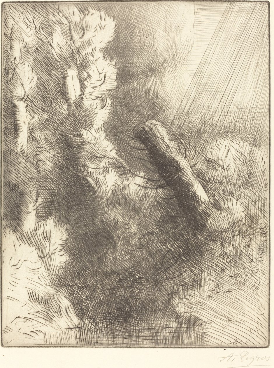 Amintiri din Fountainebleau în Rainnorwegian av Alphonse Legros