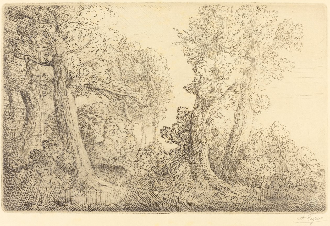 Nær skogen, Veronne (Pres du bois, Veronne) av Alphonse Legros