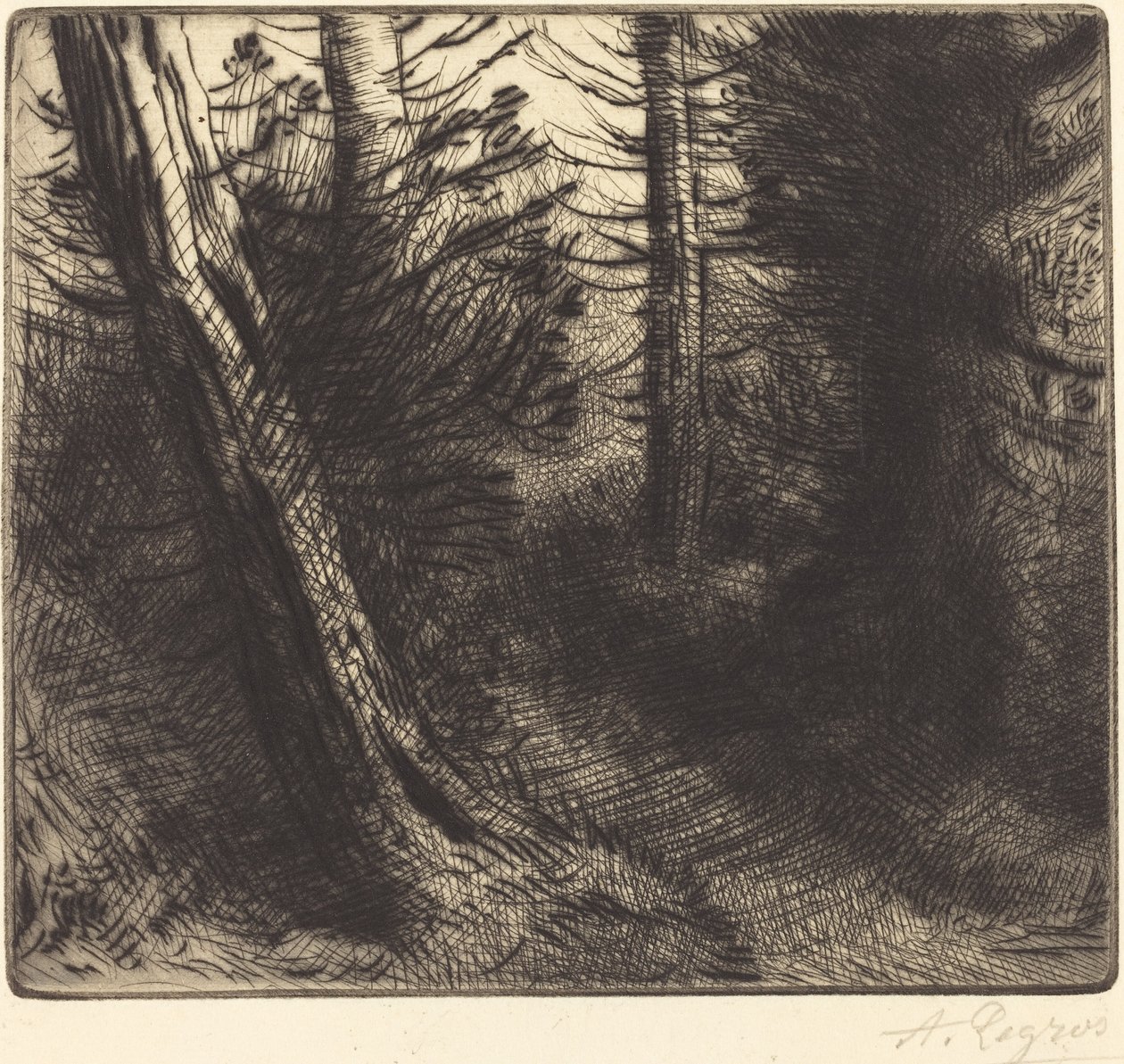 Vei gjennom skogen Vei gjennom skogen. av Alphonse Legros