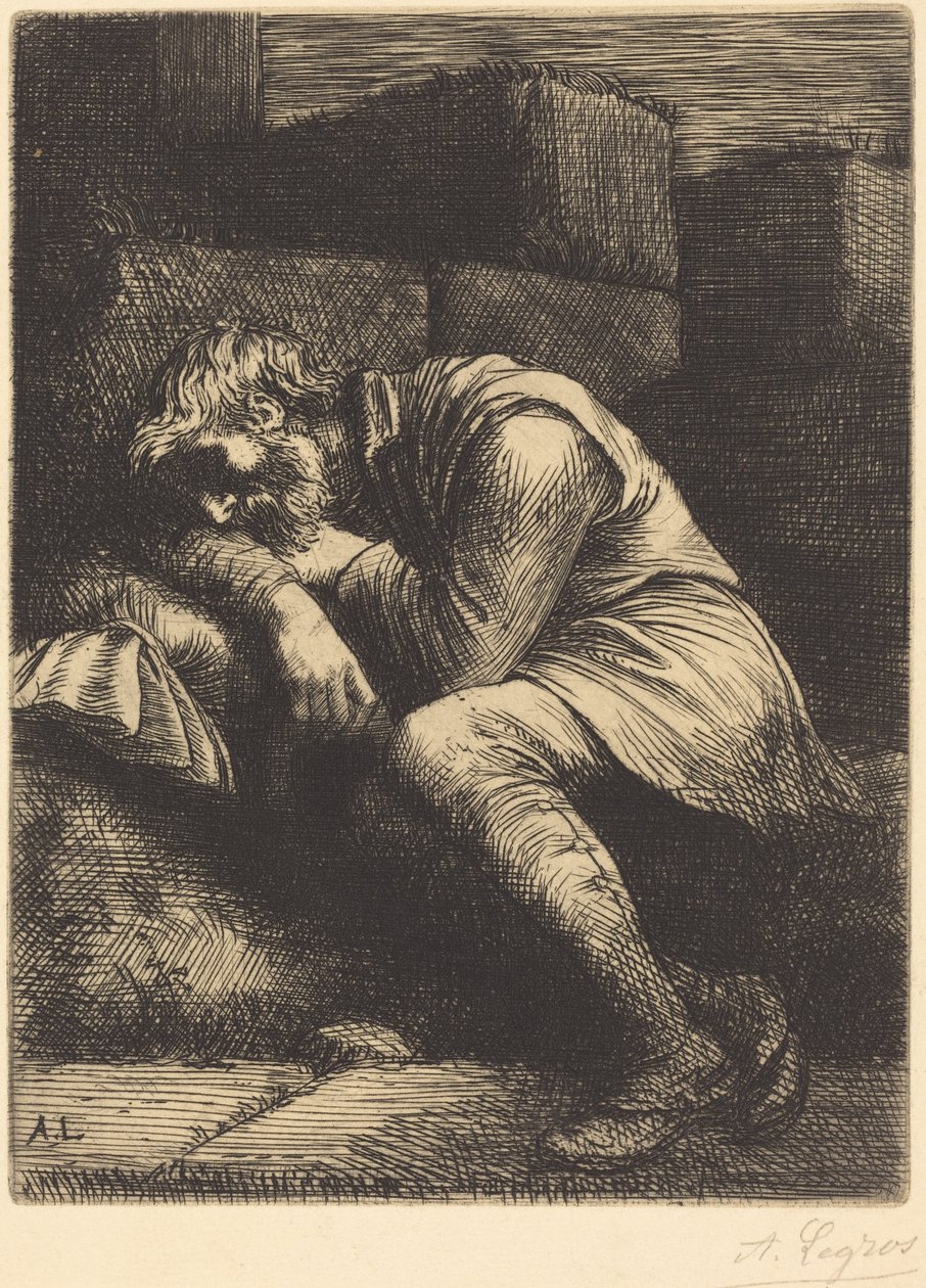 Sovende tigger av Alphonse Legros