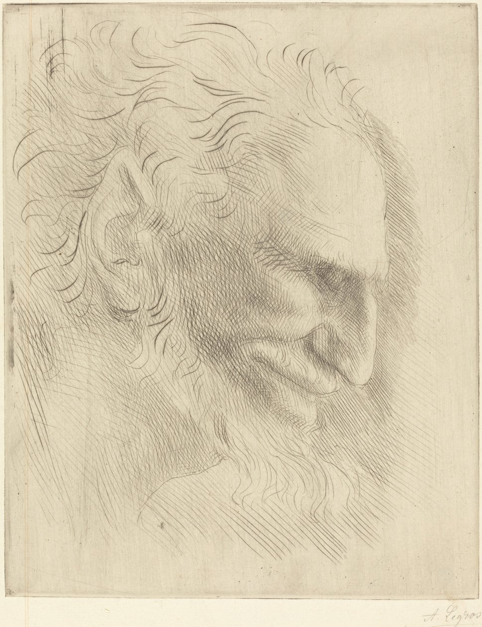 Studie for hodet til en mann (Etude de tete d