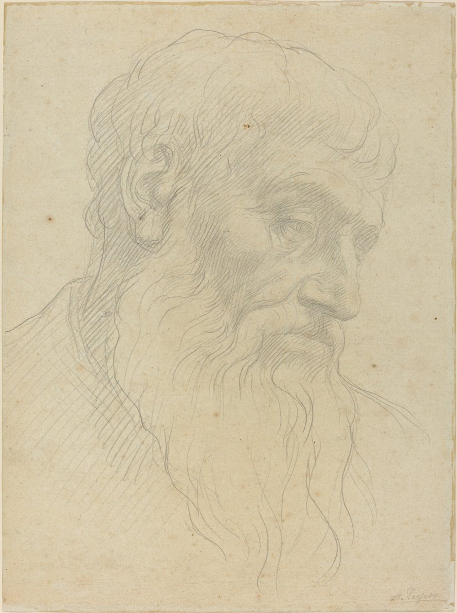 Studie av et hode. av Alphonse Legros