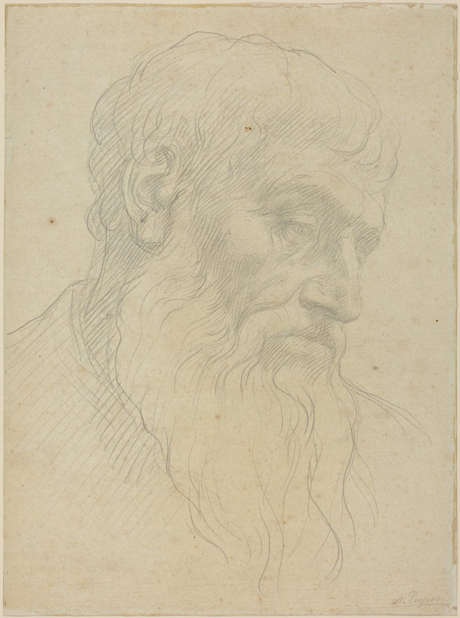 Studie av et hode av Alphonse Legros