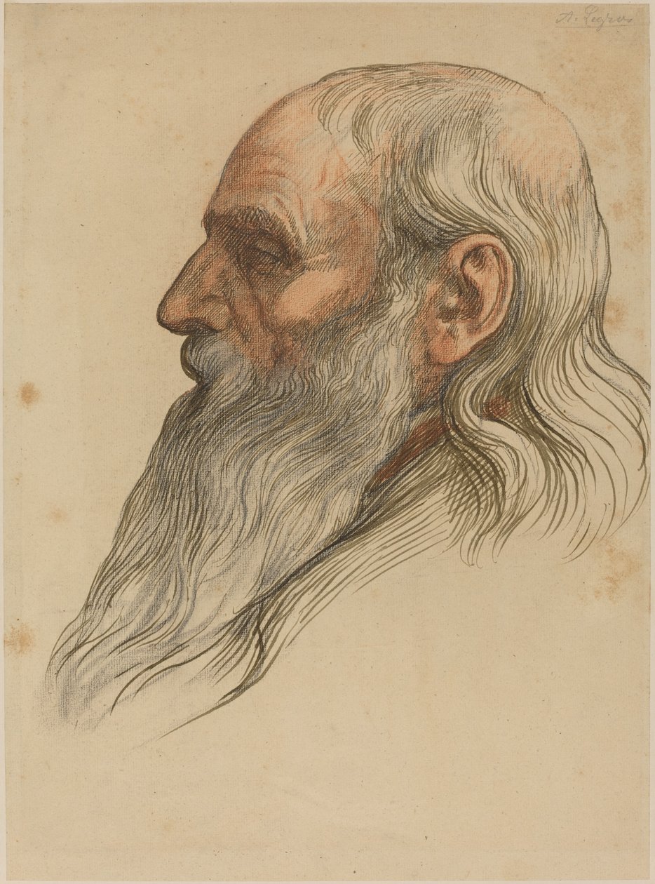 Studie av en manns hode med helskjegg av Alphonse Legros