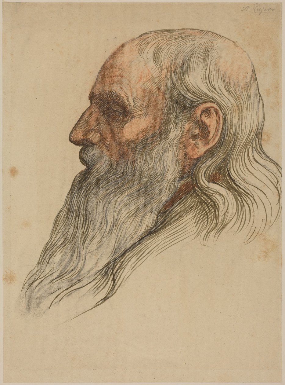 Studie av et mannshode med helskjegg av Alphonse Legros