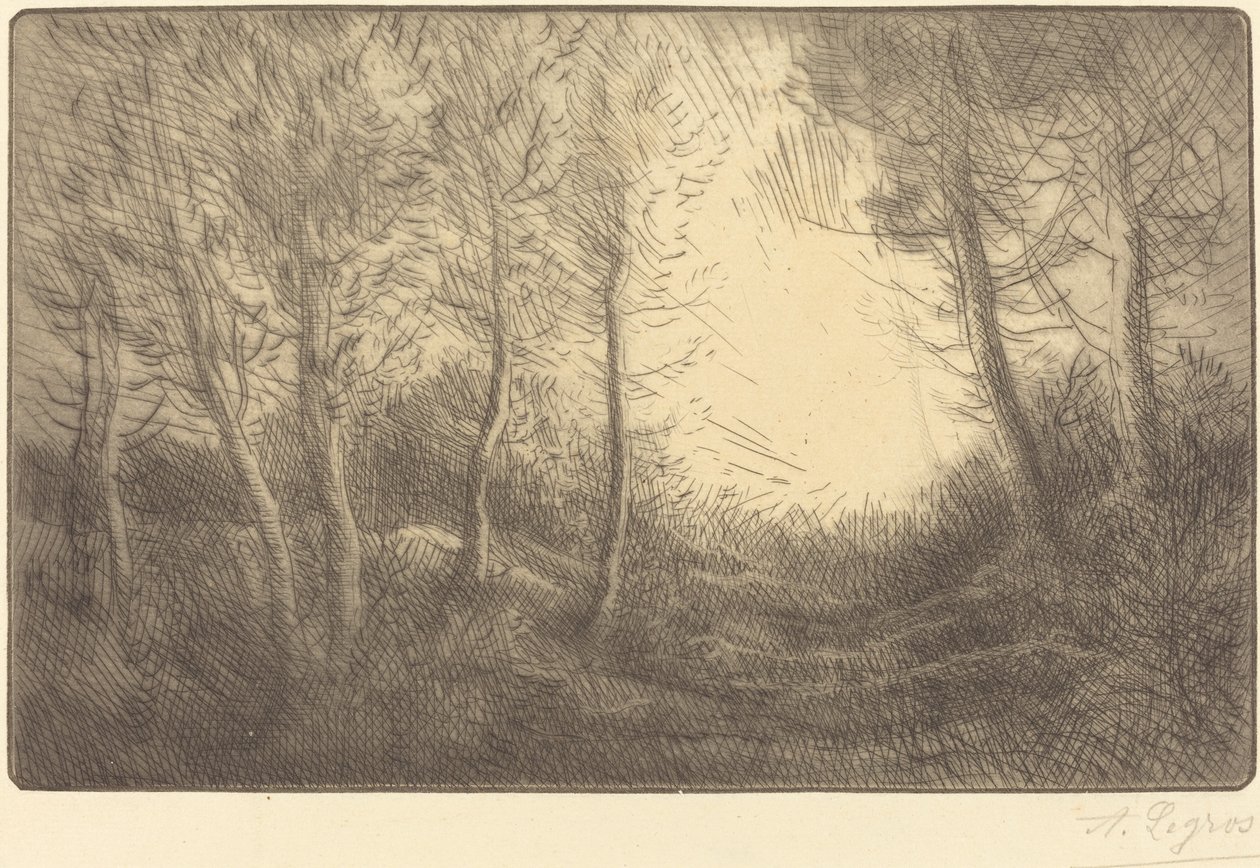 Soloppgang, Woods of Clamart av Alphonse Legros