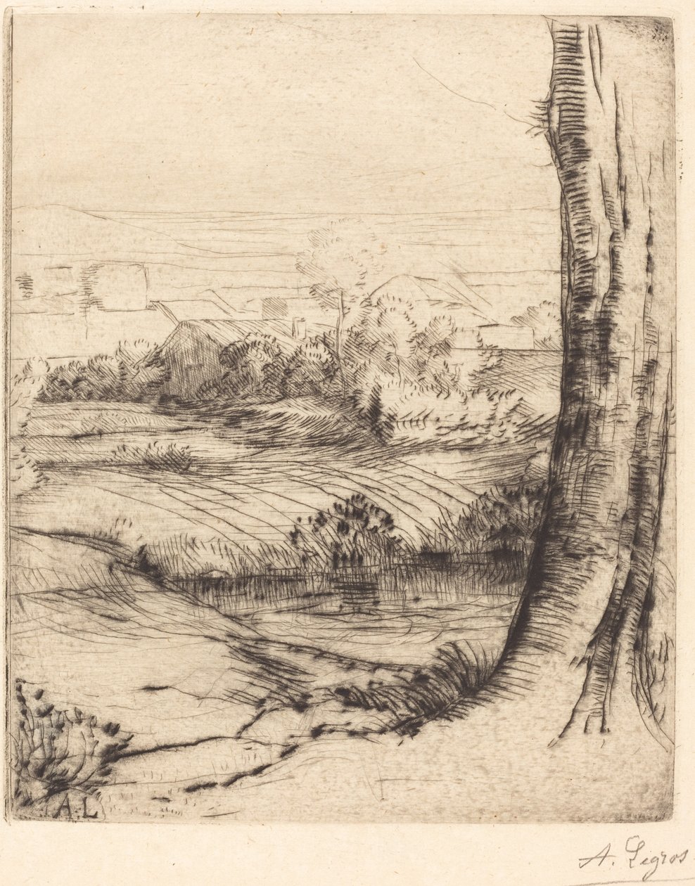 Utsikt over Reeds (Coin de roseau) av Alphonse Legros