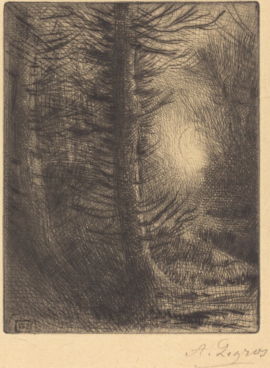 Woods in Winter Sun, 1. plate av Alphonse Legros