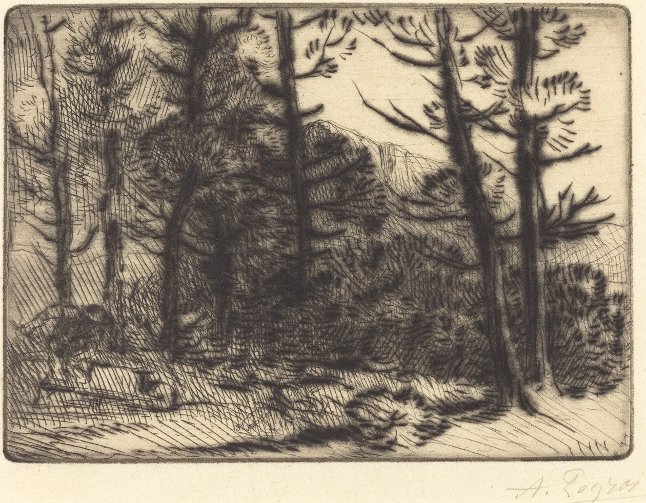 Woods in Winter Sun, 2. plate av Alphonse Legros