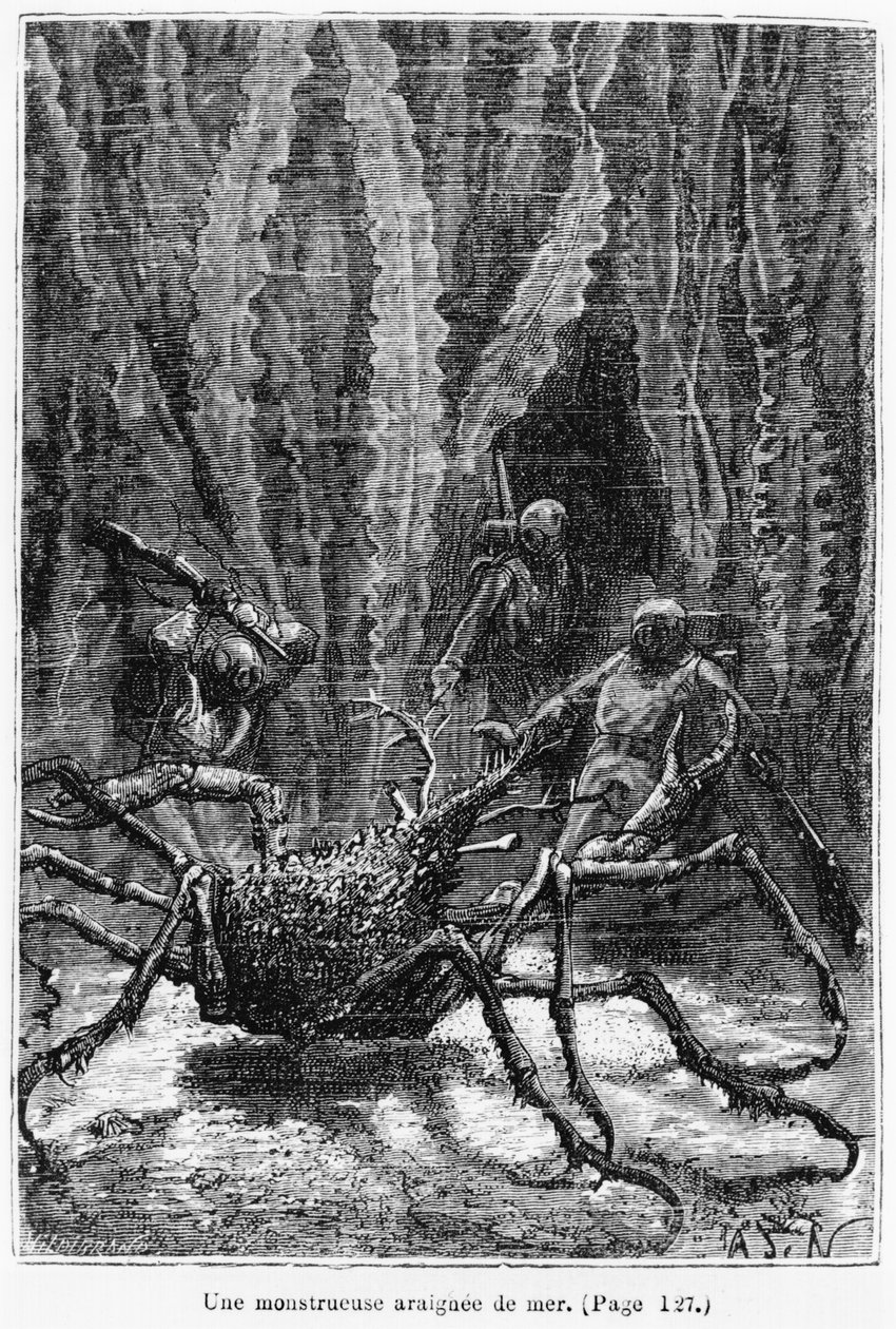 Spider Crab, illustrasjon fra 