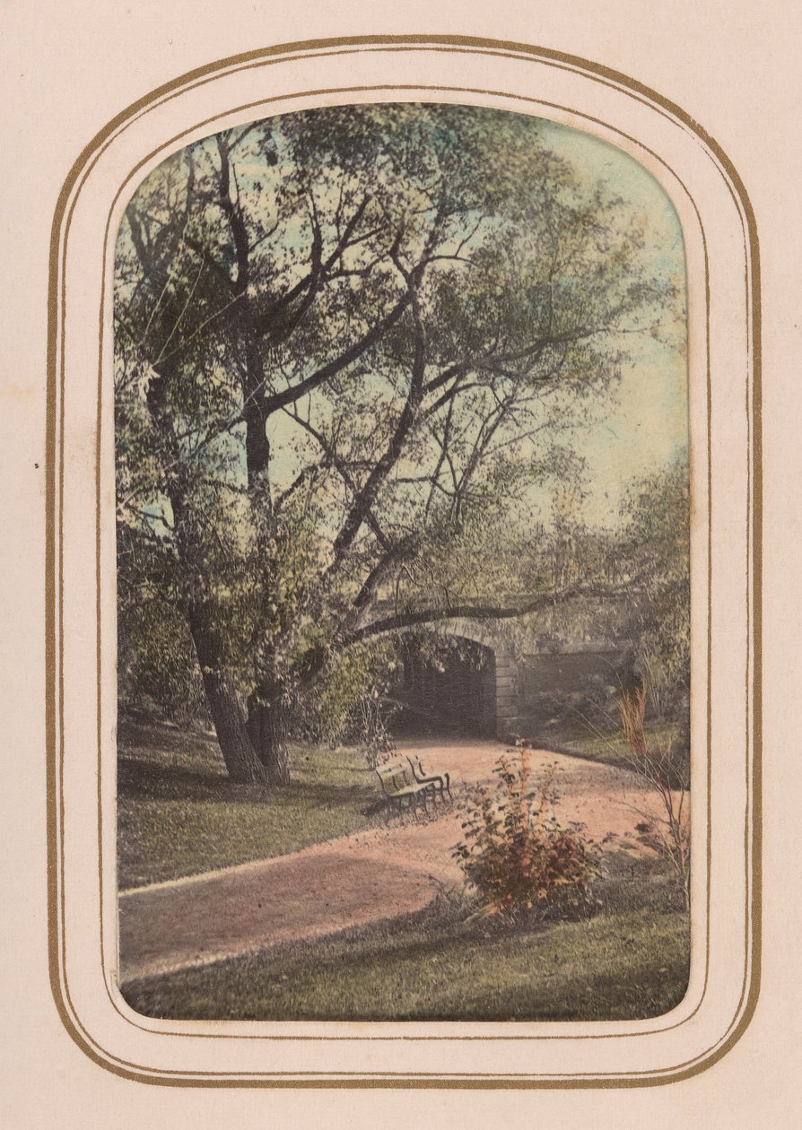 Carte-de-visite Album of Central Park Views, 1860-tallet. av Ambrose Jackson