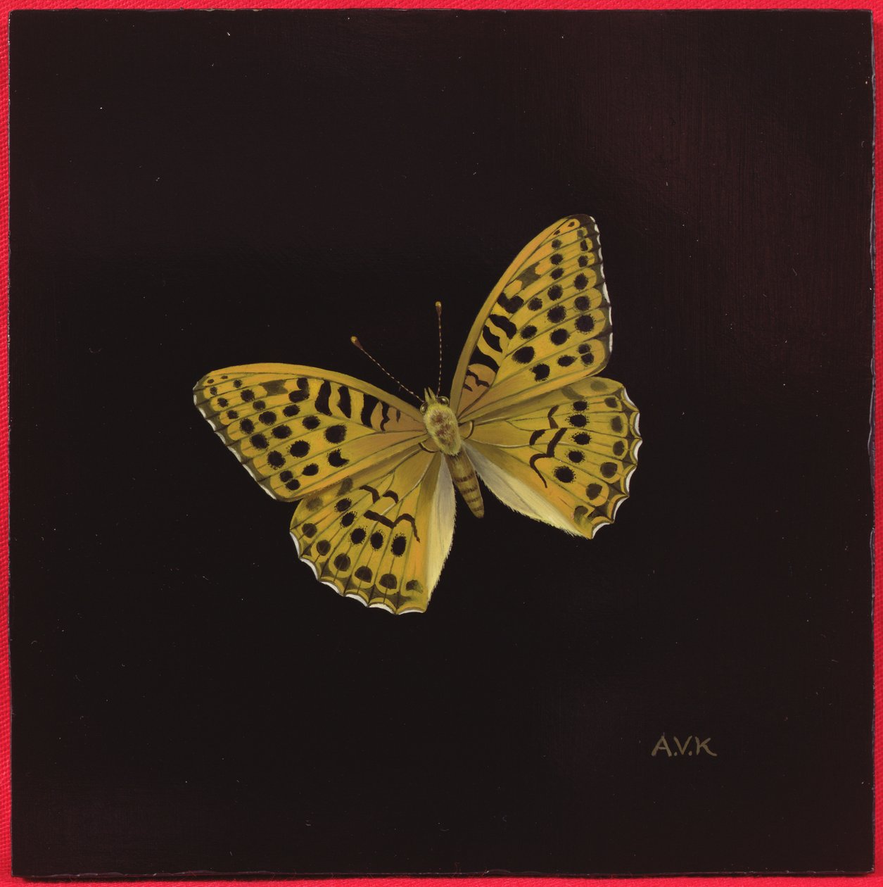 Sølvvasket fritillary sommerfugl, 2000 av Amelia Kleiser