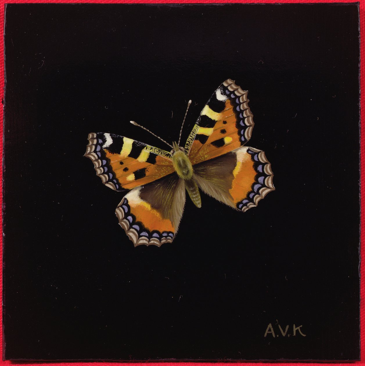 Liten skilpaddeskjell sommerfugl, 1998 av Amelia Kleiser