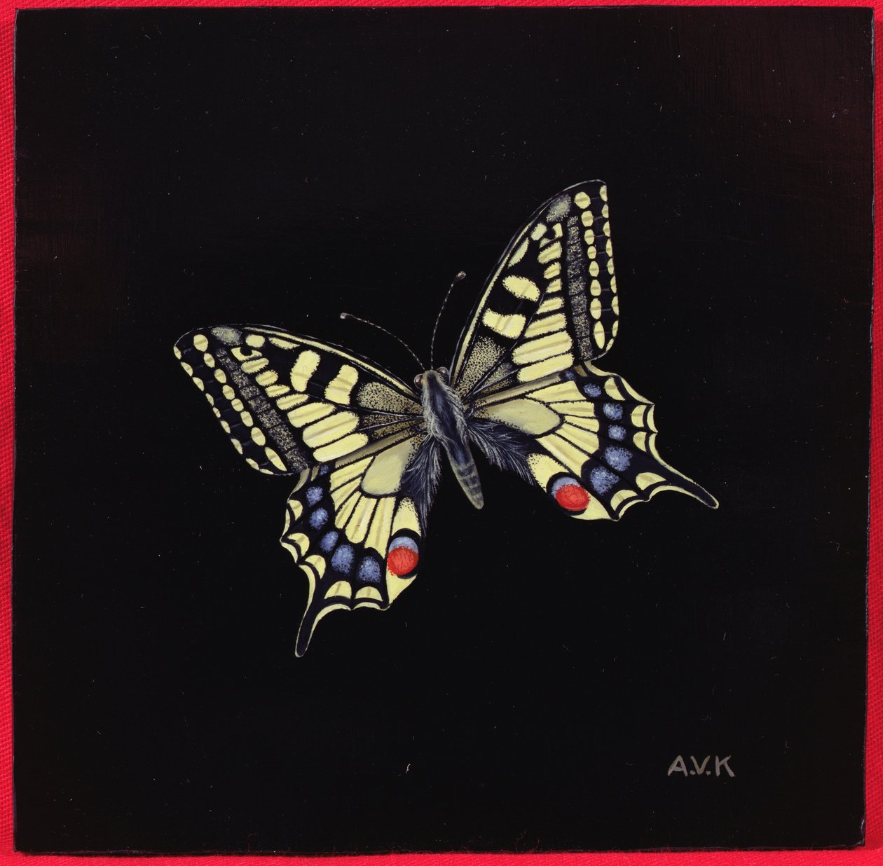 Svalehalesommerfugl, 1999 av Amelia Kleiser