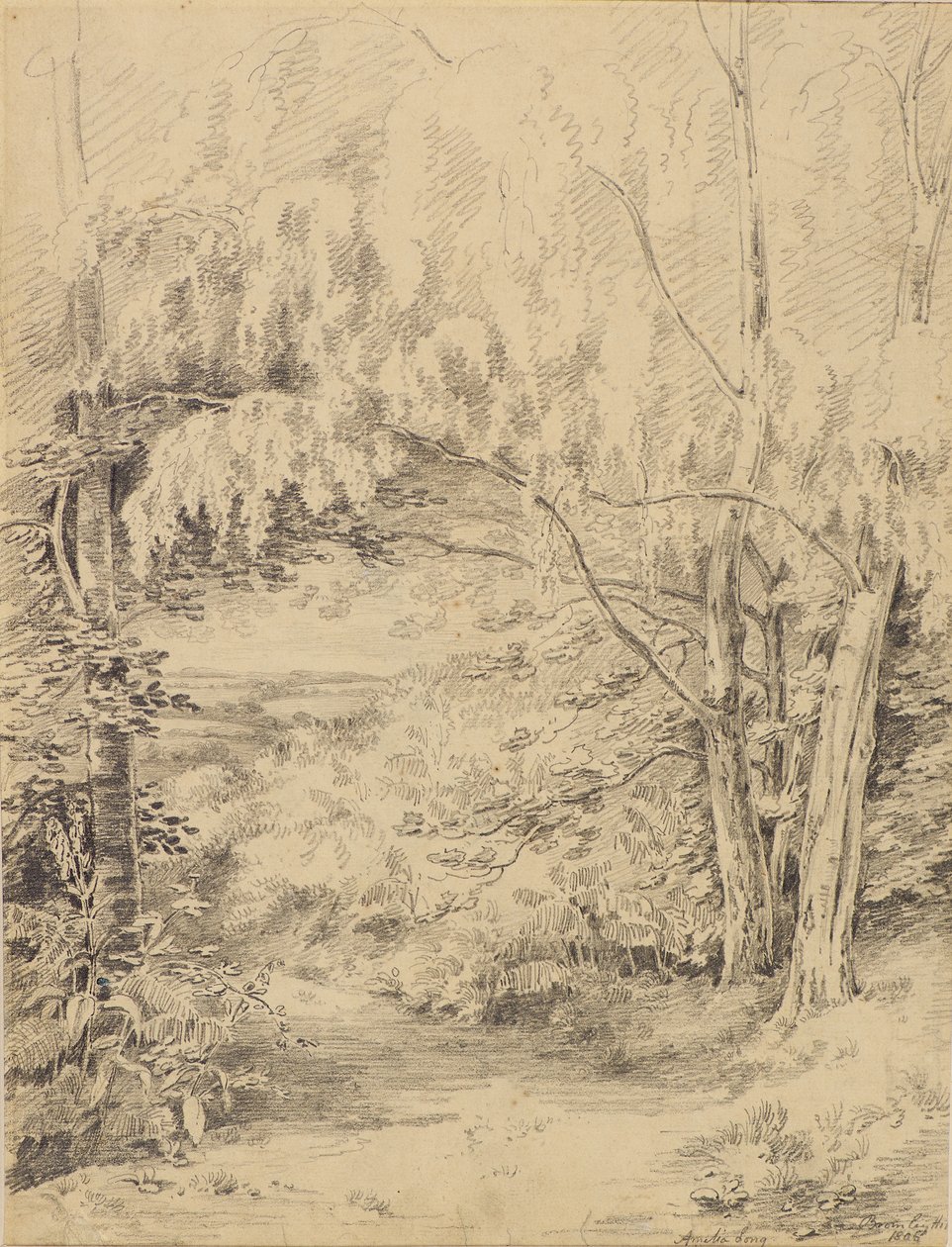 Bromley Hill av Amelia Long