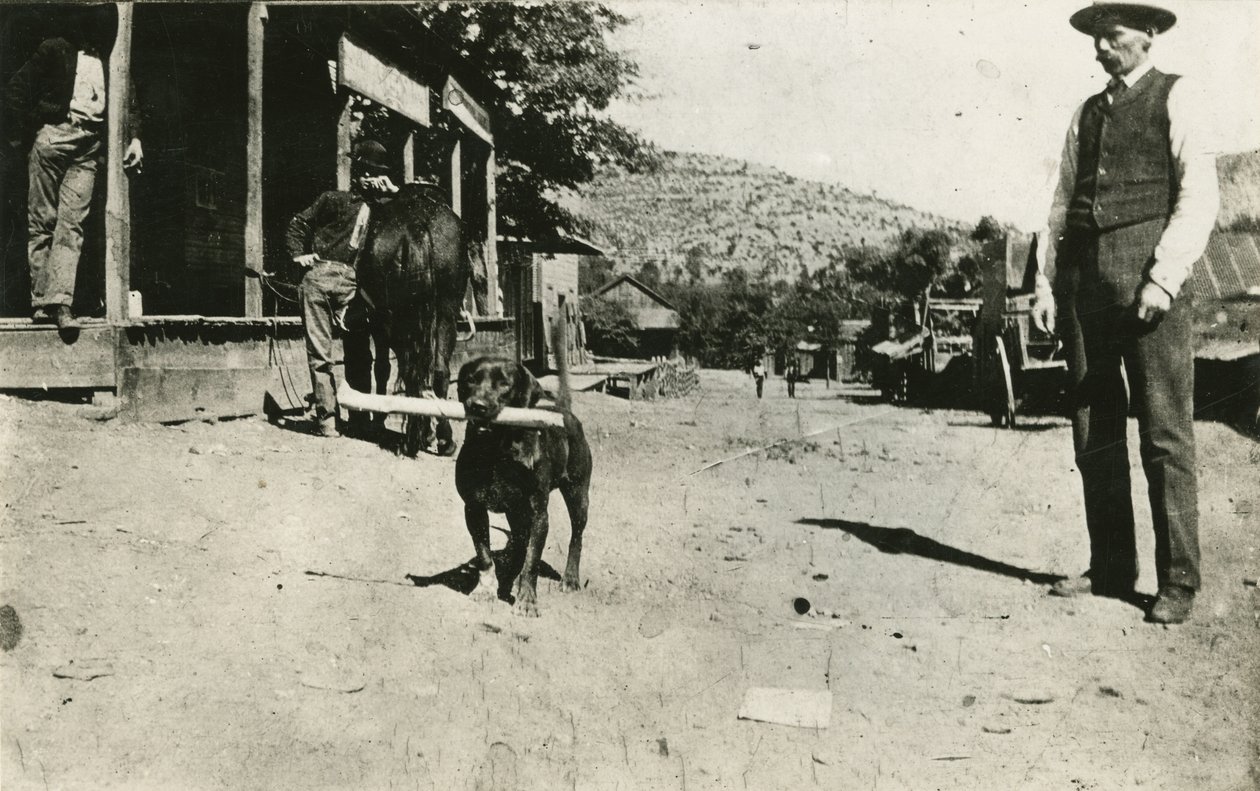 Butch Cassidy (1886–1908) av American Photographer