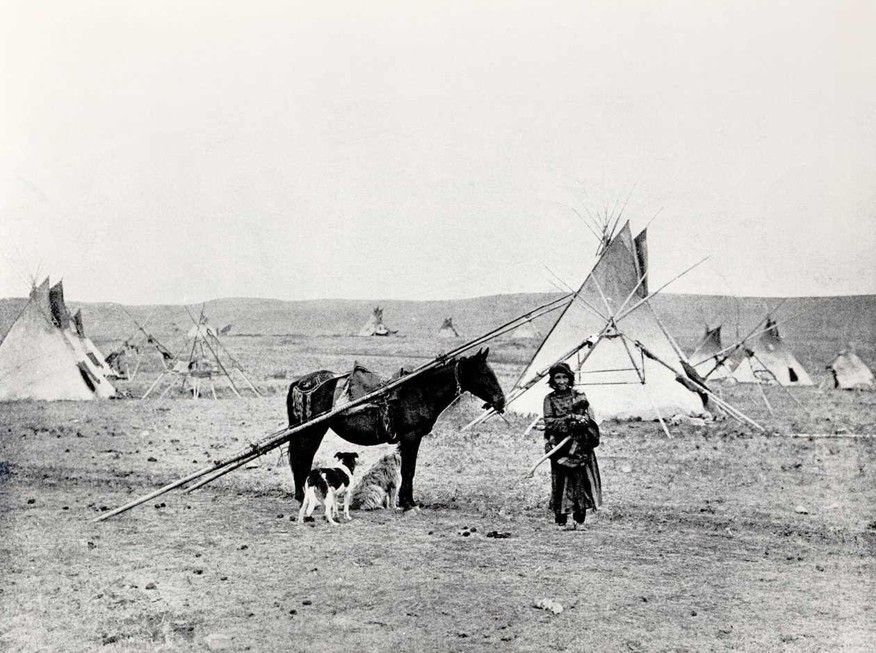 Comanche indisk av American Photographer