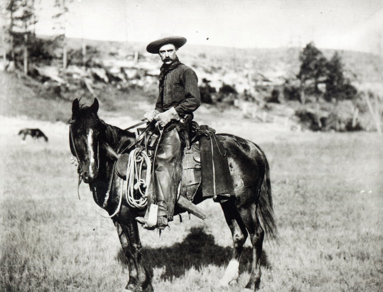 Cowboy som rir på en hest i Montana, USA, ca. 1880 av American Photographer